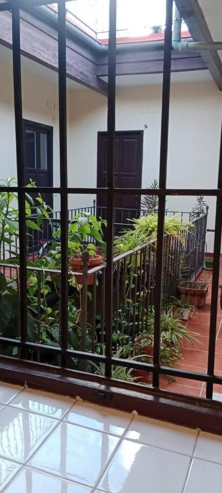 Hosfty Centro San Marcos 2 Appartamento *